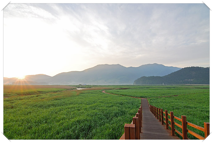 2024 순천만 갈대축제 입장료, 일정 및 프로그램 사전예약