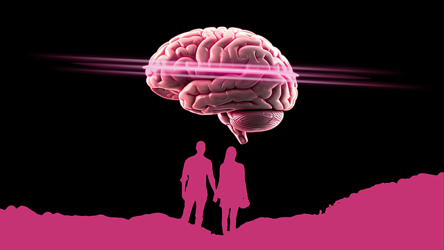 뇌 질환과 별아교세포의 연관성