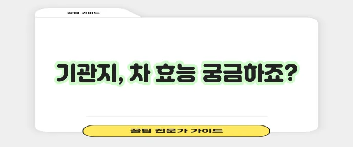 기관지에 좋은 차 6가지 꼭 알아봐야겠죠?