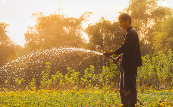 민생회복지원금 지자체별 지급액 및 신청방법, 지급대상
