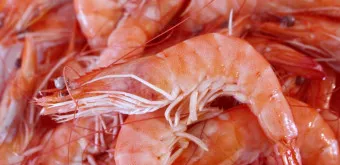 새우 요리 11가지 황금레시피_12