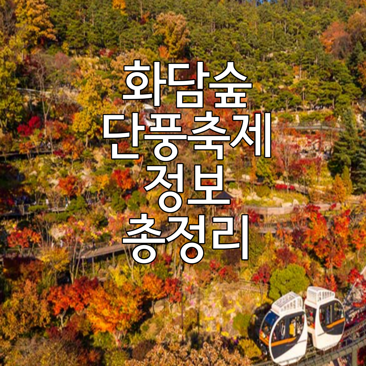 화담숲단풍축제