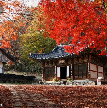 가을에 꼭 가야하는 단풍이 유명한곳 BEST 5곳