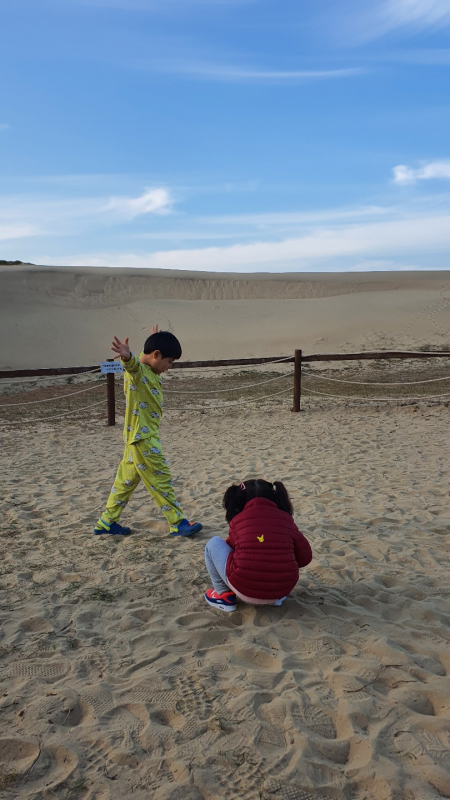 신두리해안사구
