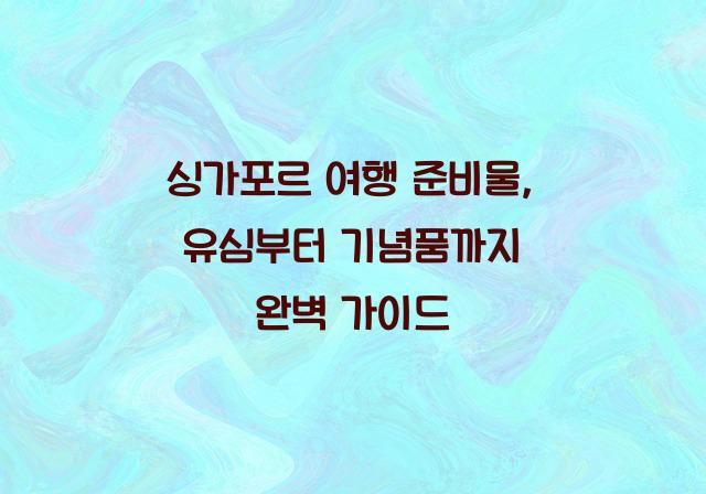 싱가포르 여행 준비물