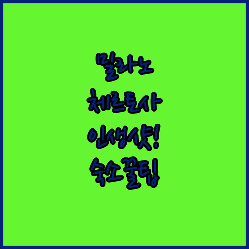 밀라노 여행 체르토사역 사진 구도 가..