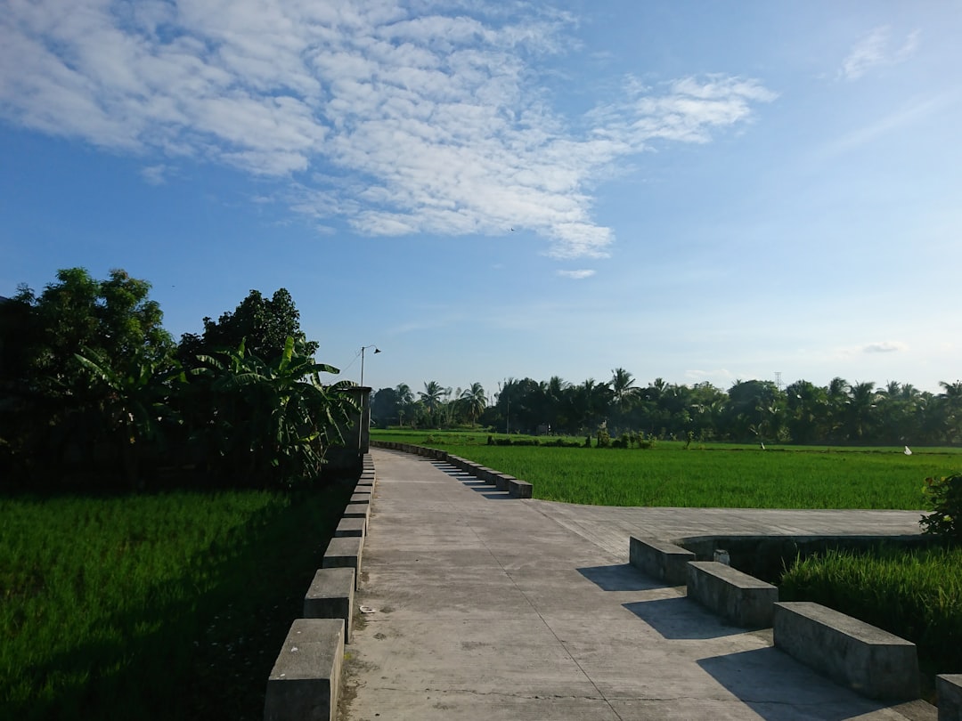 Sunny Capital