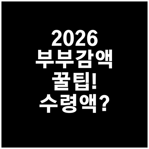 2026년 기초연금 부부 감액 총정리..