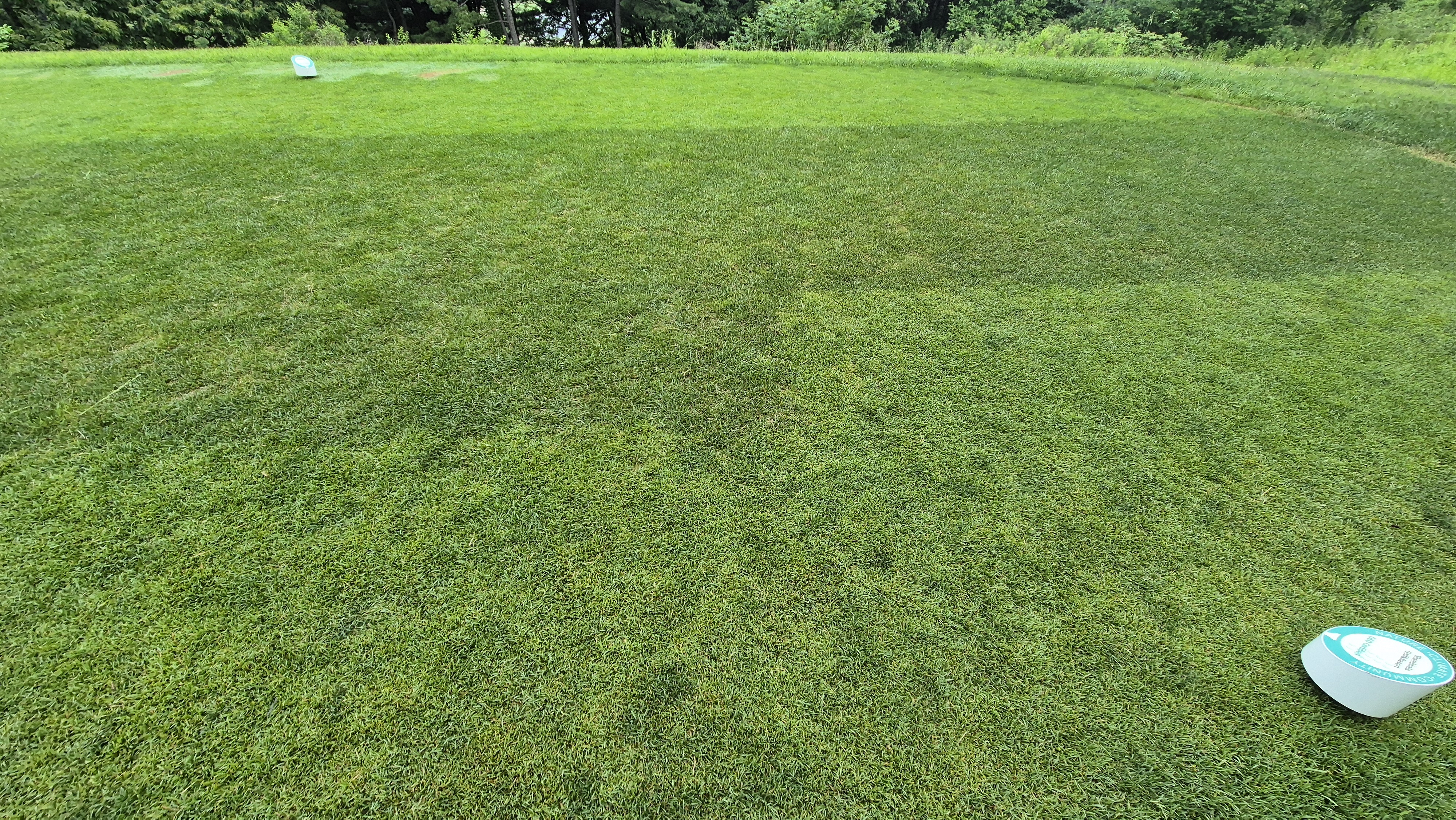 샴발라cc 라운드 후기