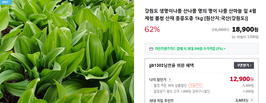 명이나물 장아찌 황금 레시피 및 재배법 (+ 모종 판매 수확시기 먹는 법)