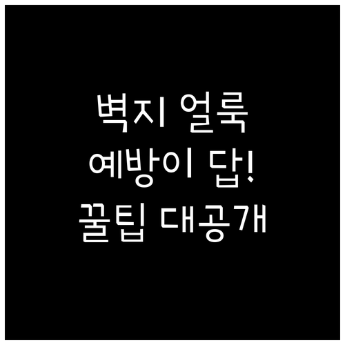 벽지 얼룩 예방이 답! 깨끗한 벽 유