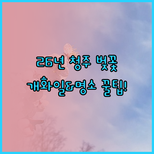 2026년 청주 벚꽃 개화 예상일 및..