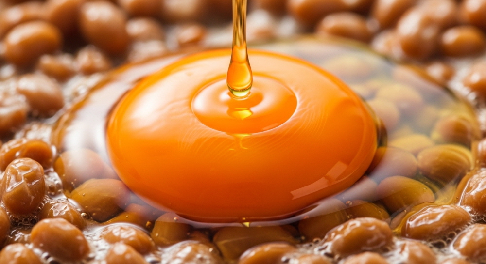 낫또 맛있게 먹는 법