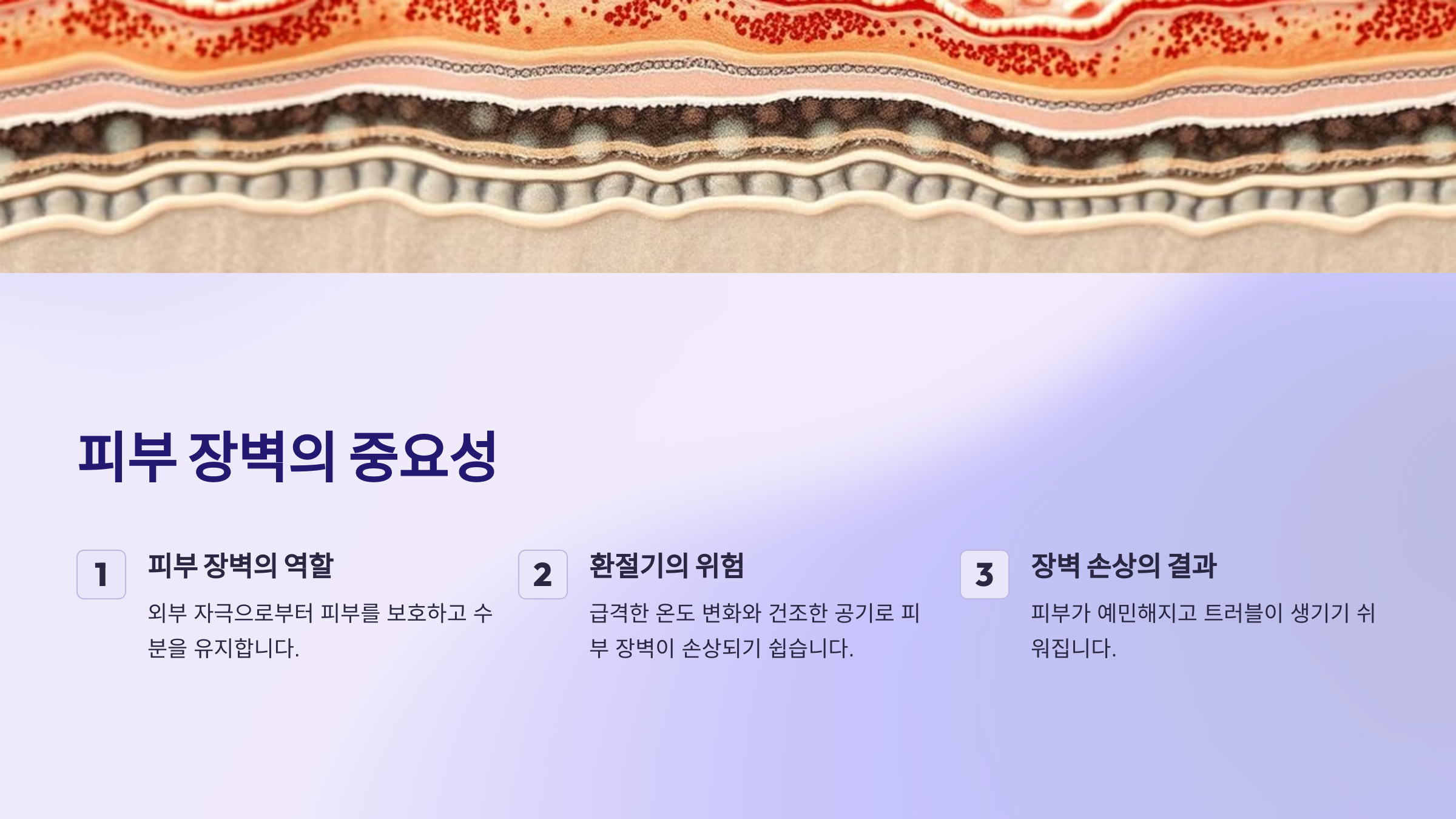 피부 장벽의 중요성