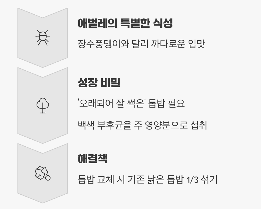 멈춰버린 톱밥, 굶주리는 애벌레