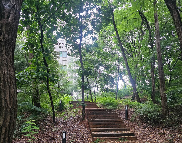 계족산 황토길 걷기&amp;#44; 맨발걷기 효능 5