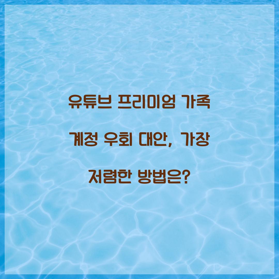 유튜브 프리미엄 가족 계정 우회 대안