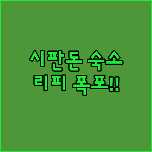 라오스 시판돈 가성비 숙소 위치 장점..