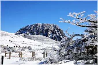 한라산 탐방로예약 시스템 등산 코스_16