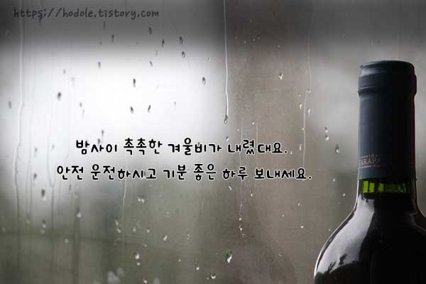 비오는인사말