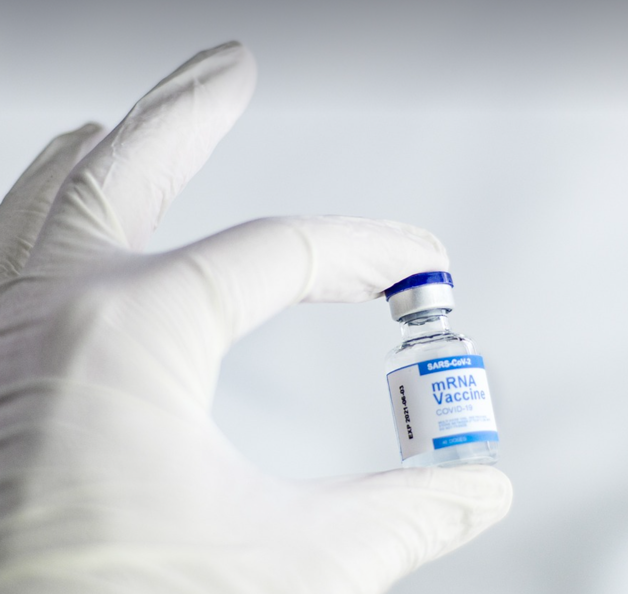 백신과 접종 관련 사진