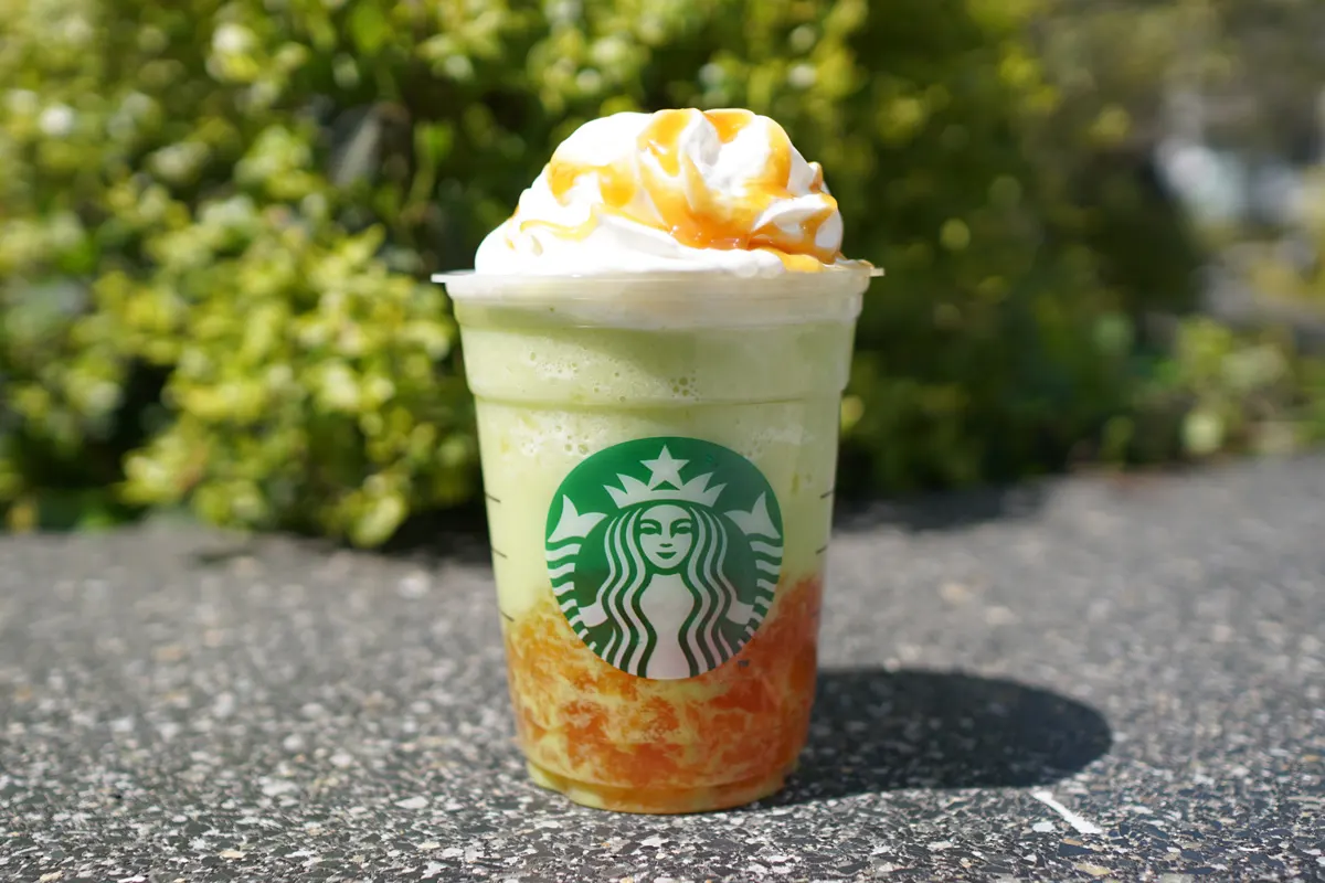 GOHOBI 멜론 프라푸치노