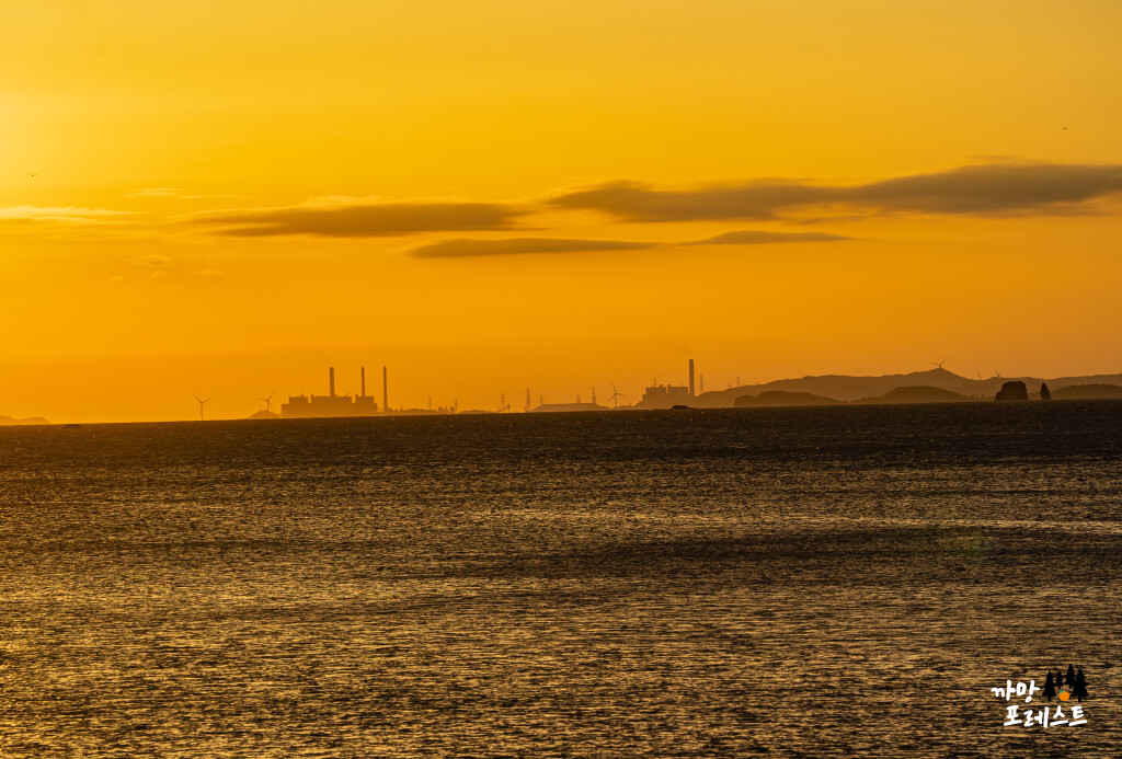 궁평항 일몰