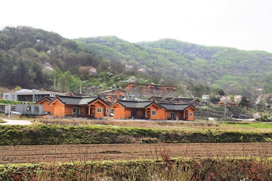 장수하는 사람들의 공통 습관: 자연 치유 관점에서 분석