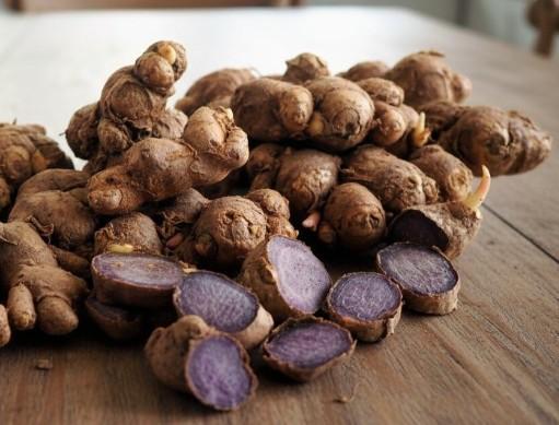 파비플로라 알파cd 효능 효과