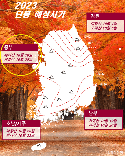 화담숲 단풍 절정