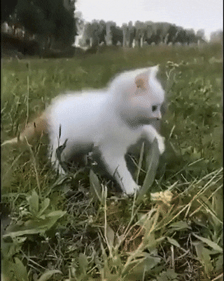 1월 10일 수 신문스크랩