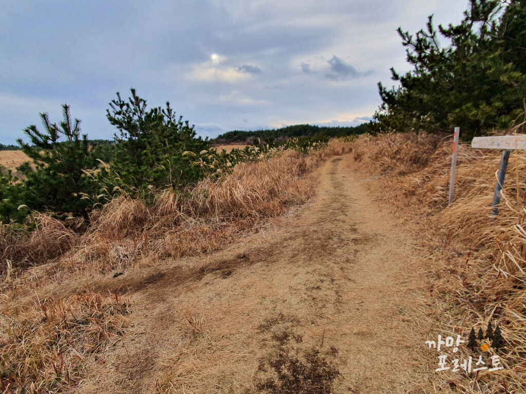 큰사슴이오름 경로