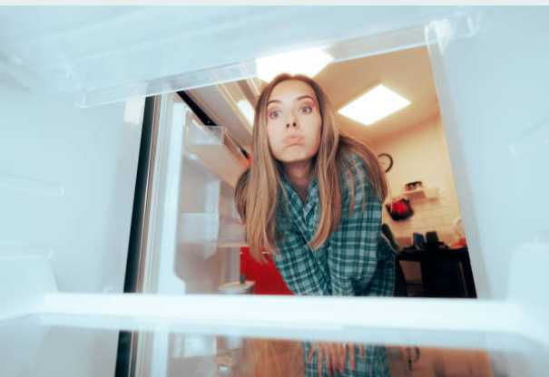 대학생을 위한 자취방 냉장고