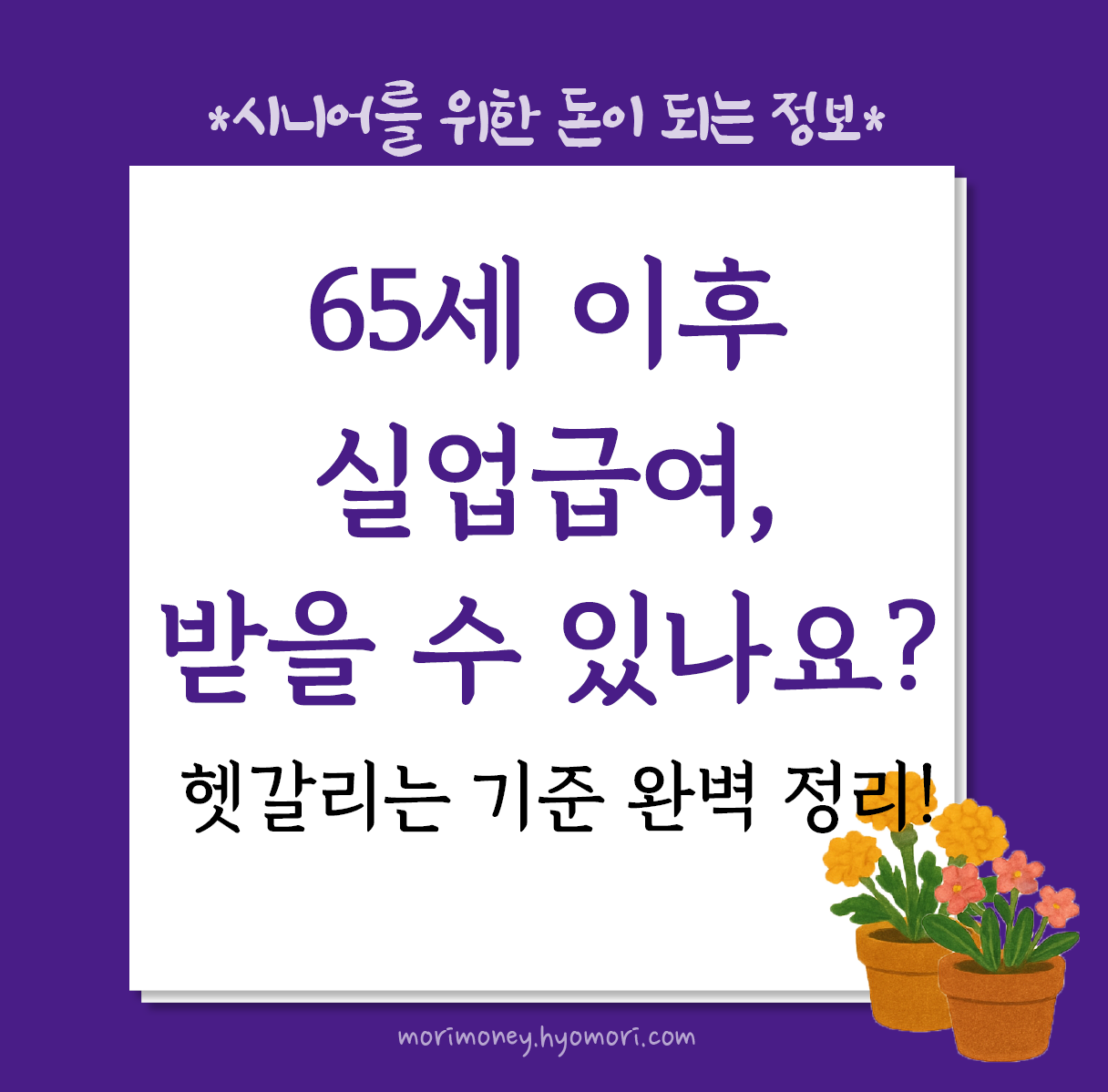 65세 이후 실업급여, 받을 수 있나요? 헷갈리는 기준 완벽 정리!