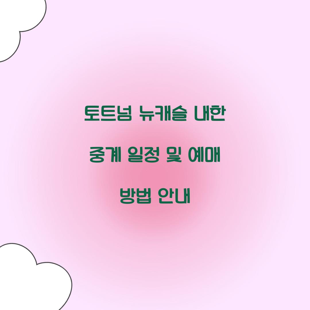 토트넘 뉴캐슬 내한 중계