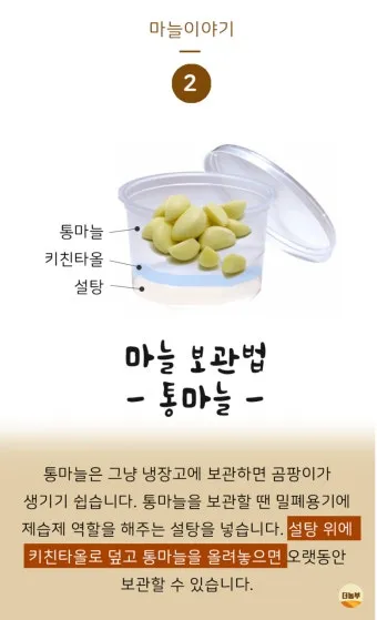 통마늘 지퍼백 보관 효과 오래 보관하는 방법_21