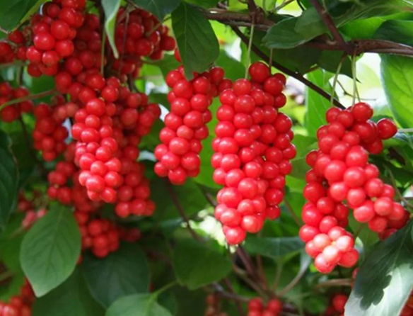 피로 회복을 위한 생활