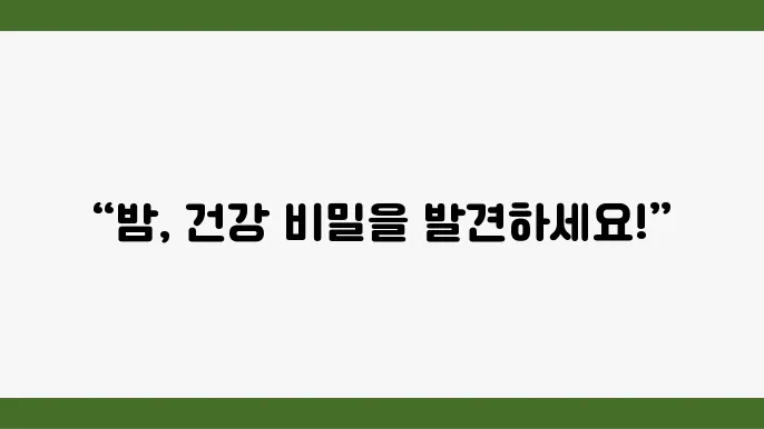 밤의 형태와 특성