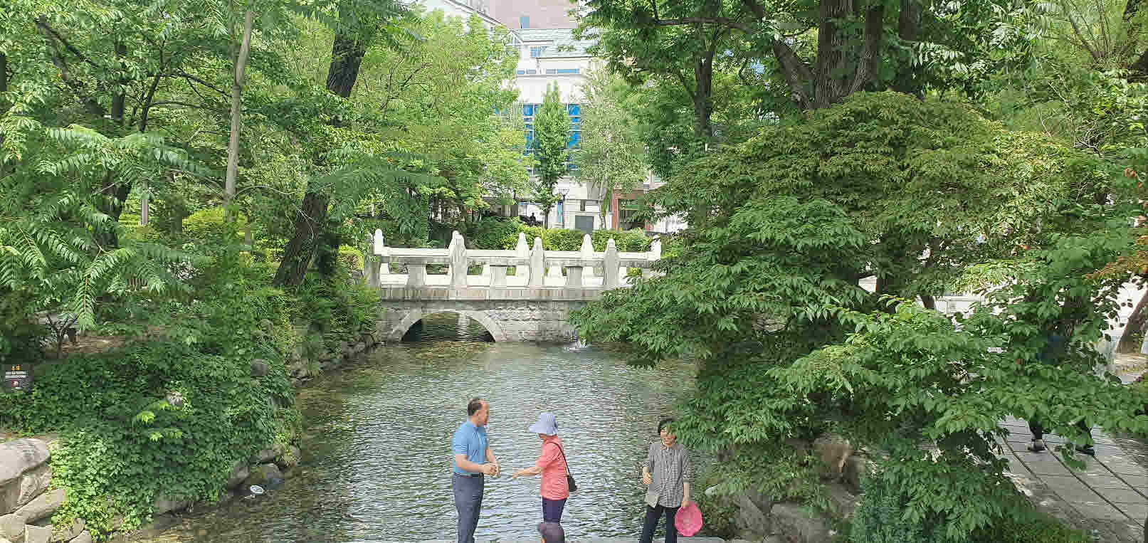 황지연못 하지 이미지