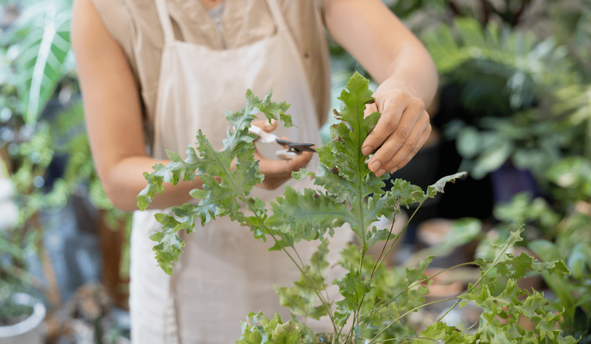 소상공인_정책자금_신청방법_35