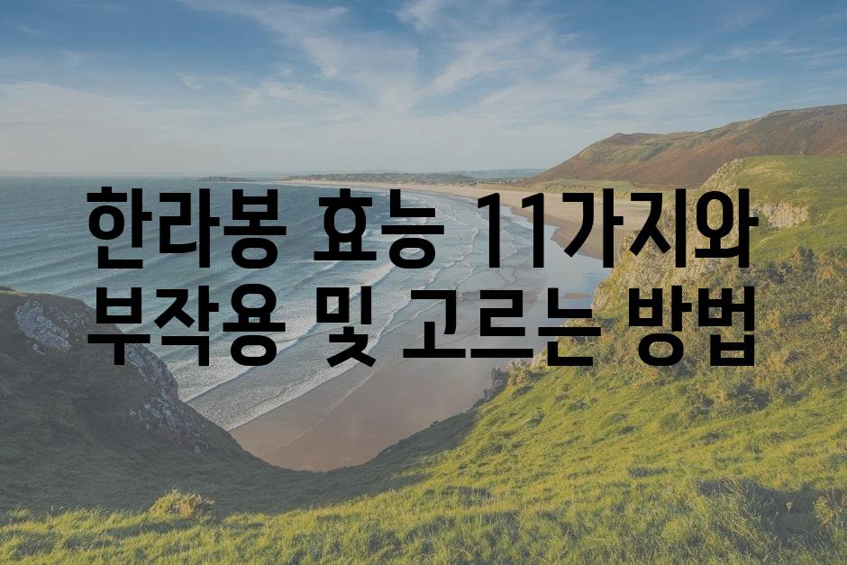 샘플 (86)