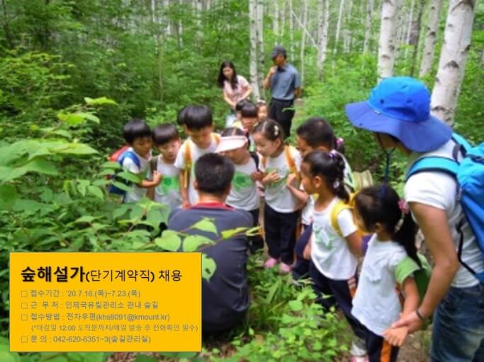 숲해설가 직업