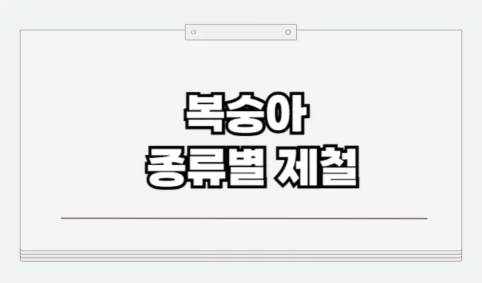 복숭아 제철
