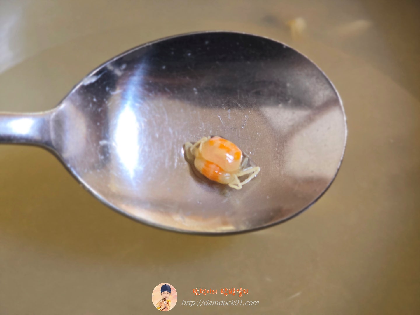 바지락칼국수