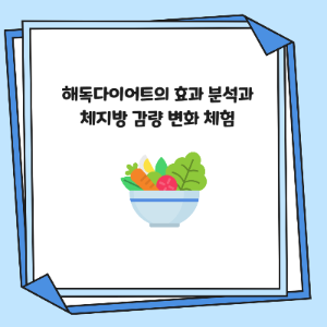 해독다이어트의 효과 분석과 체지방 감량 변화 체험