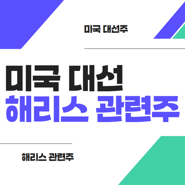 해리스 관련주 및 정치 테마주: 변동성이 큰 투자 전략 썸네일