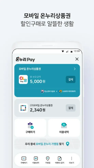 비플페이