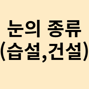 습설 건설 (눈의 종류)