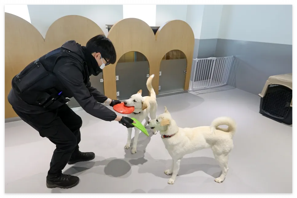 경기도 입양동물 행동교정 지원사업 신청방법