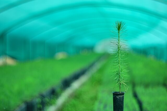 농어민수당 농외소득 어디까지?